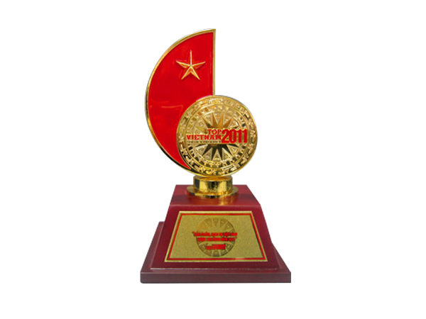 Top Viet Nam 2011